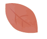͂