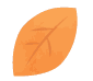 ͂2