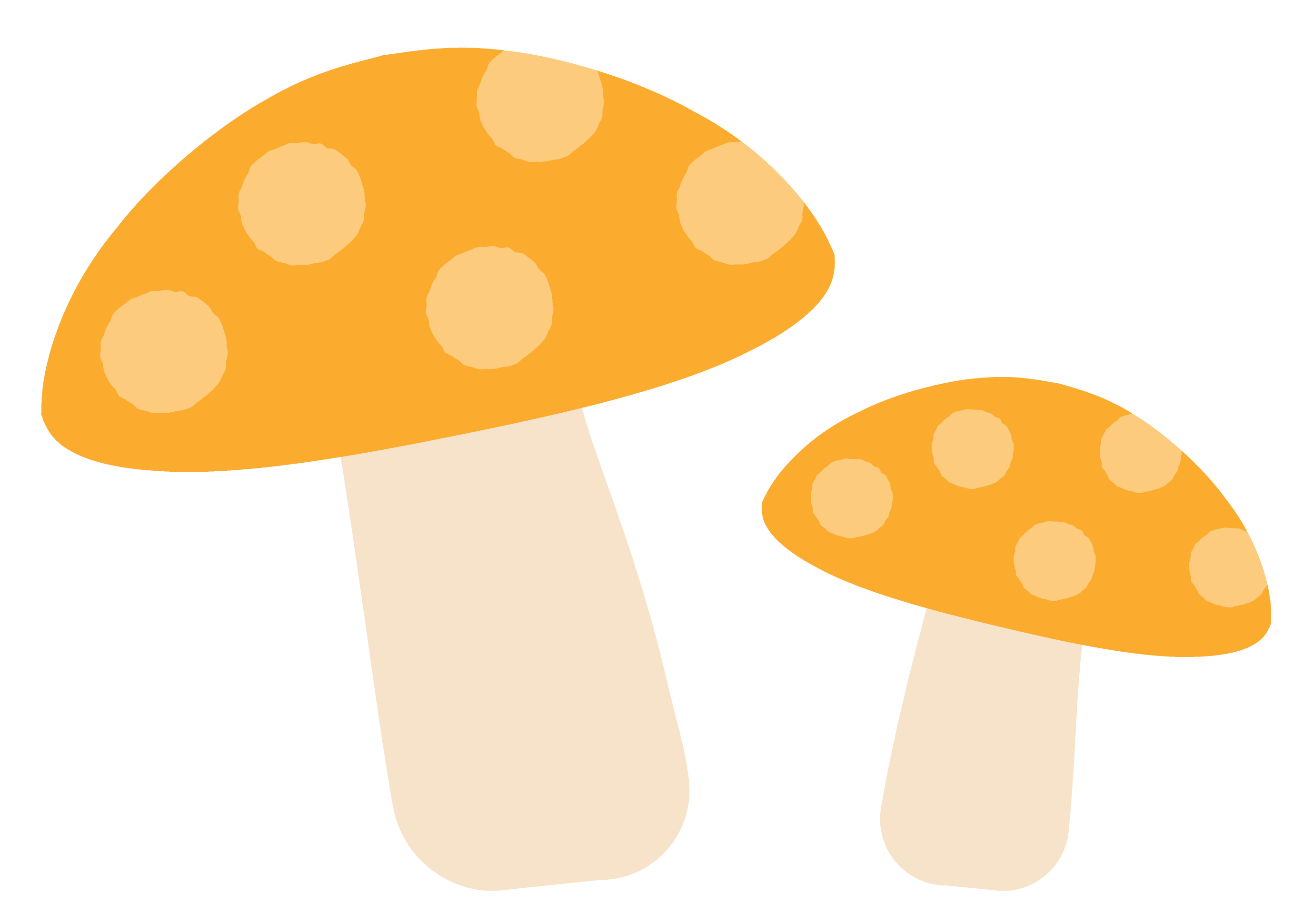 ���̂�